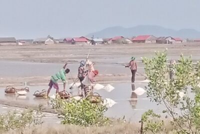 KAMPOT TRAVEL-Pepper farm. Cave.Secret lake-Crab market & Salt…