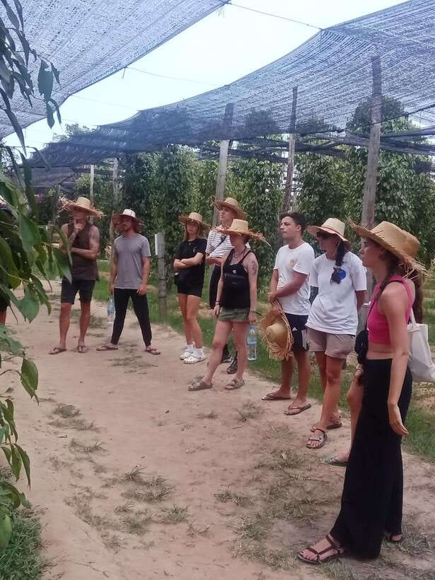 Kampot: Tuk Tuk Trip to Pepper Farm, Kep, Crab Market & More - What the $25 price really covers