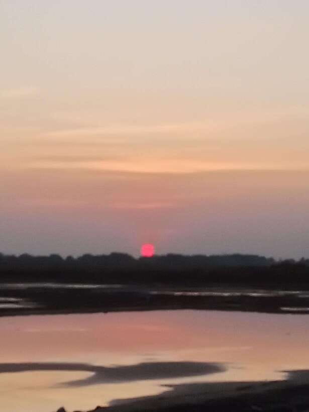Kampot: Tuk Tuk Trip to Pepper Farm, Kep, Crab Market & More - Pace, comfort, and who should book