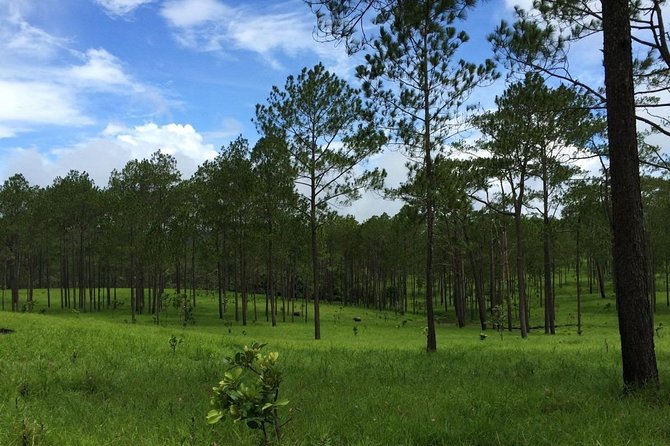 Kirirom National Park Private Day Tour from Phnom Penh - Driving higher into Kirirom National Park