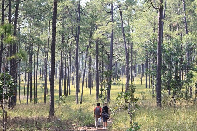Kirirom National Park Private Day Tour from Phnom Penh - What private touring changes