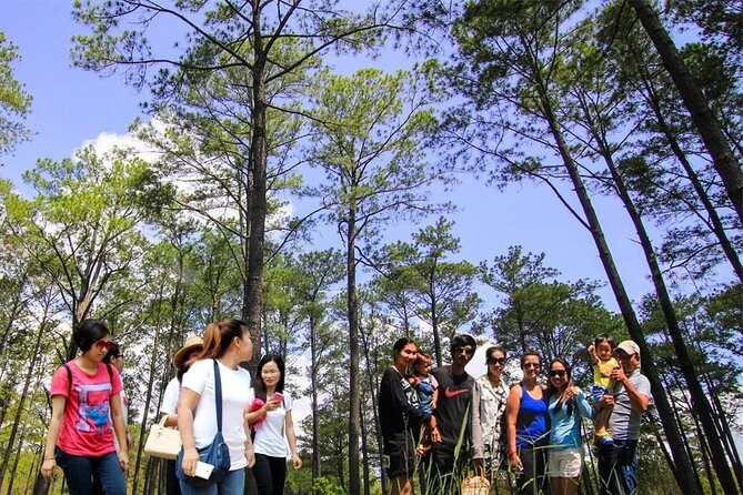 Kirirom National Park Private Day Tour from Phnom Penh - Who should book this Kirirom day trip?