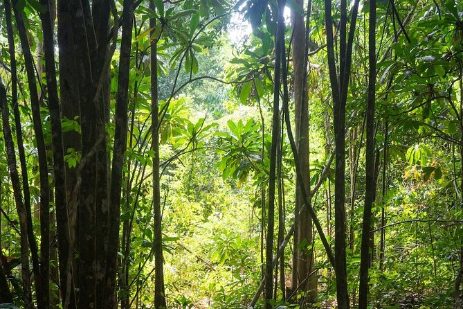 Kirirom National Park Private Day Tour from Phnom Penh - The practical booking details that matter