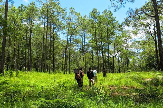 Kirirom National Park Private Day Tour from Phnom Penh - Chambok village and the forest walk to the waterfall