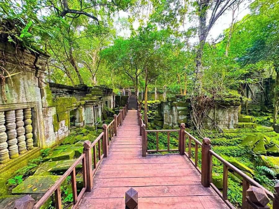 Koh Ker & Beng Mealea Temple Guided Tour - The long ride from Siem Reap
