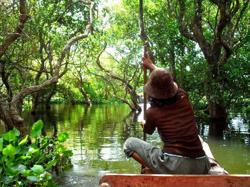 Kompong Phluk and Tonlé Sap Lake: Half-Day Tour - Who should take this half-day tour?