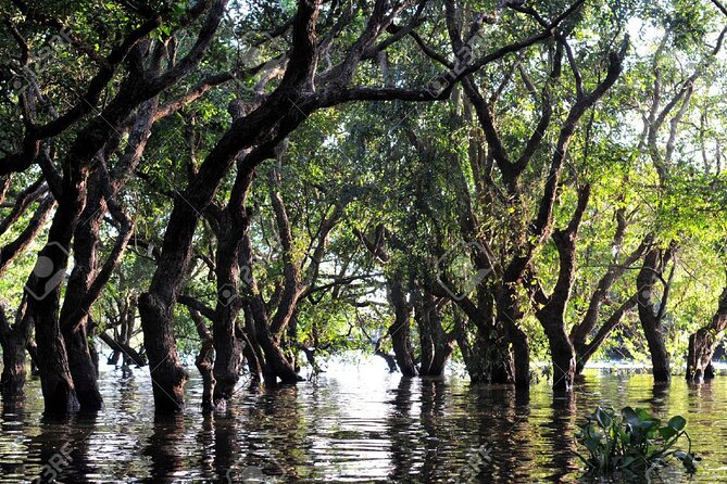 Kompong Phluk Village Tonle Sap Lake Half-Day Tour From Siem Reap - Arriving at Kompong Phluk village