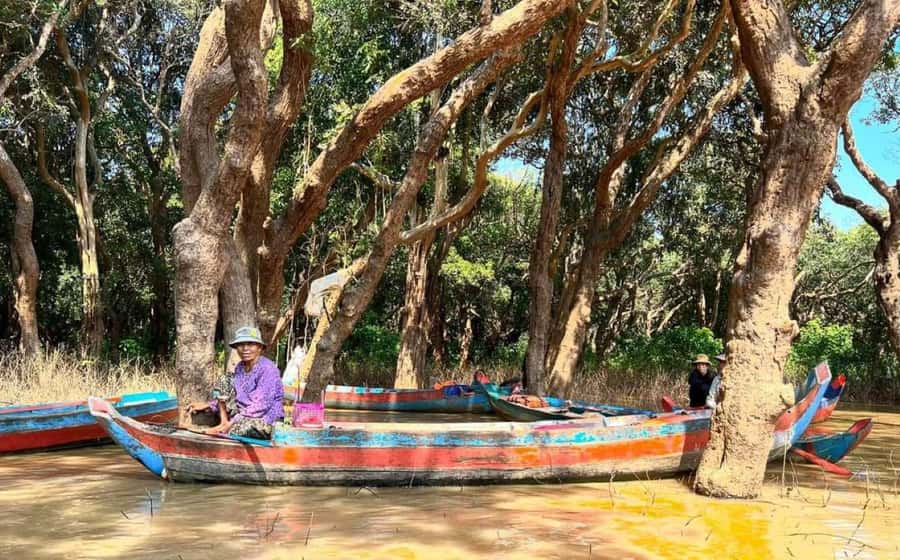 Kompong Pluk Tour - The mangrove and flooded-forest option