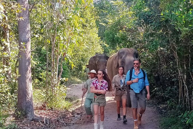 Kulen Elephant Forest and Tonle Sap Lake by Private Tour - Key points to know before booking