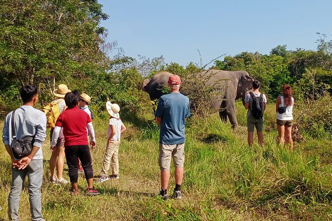 Kulen Elephant Forest and Tonle Sap Lake by Private Tour - The road to Kulen Elephant Forest