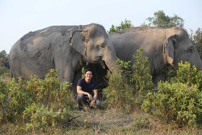 Kulen Elephant Forest & Kampong Phluk by Private Tour - The 2-kilometer forest walk