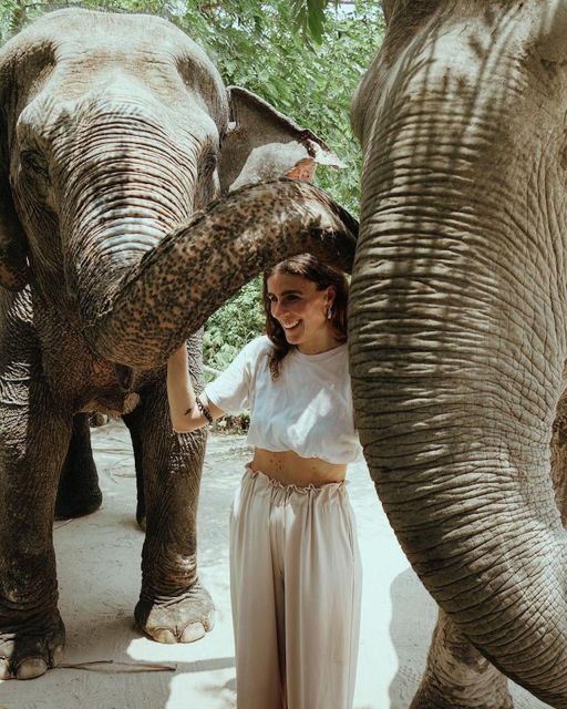 Kulen Elephant Forest Siem Reap in Small Group - Following Elephants Through 2 Kilometers of Forest