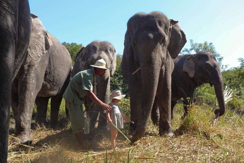 Kulen Elephant Forest Siem Reap in Small Group - Enrichment, Play, and Time Beside the Pond