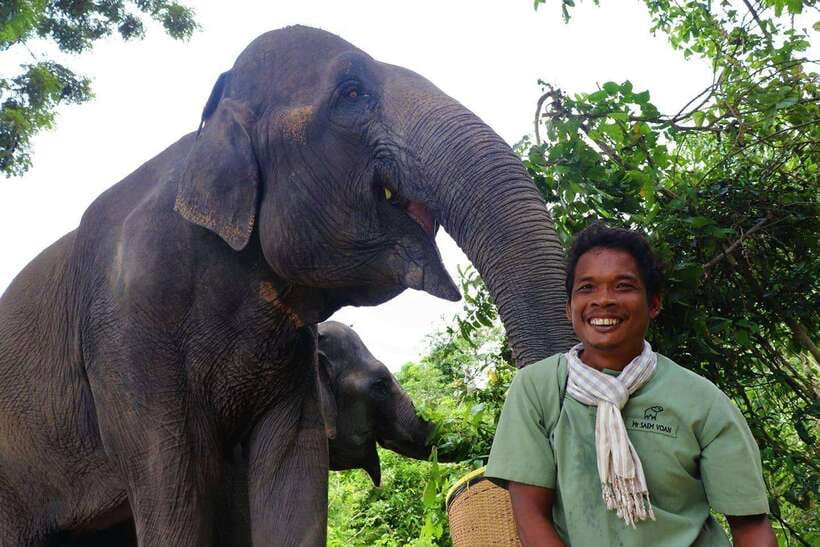 Kulen Elephant Forest Siem Reap in Small Group - The One-Hour Road From Siem Reap