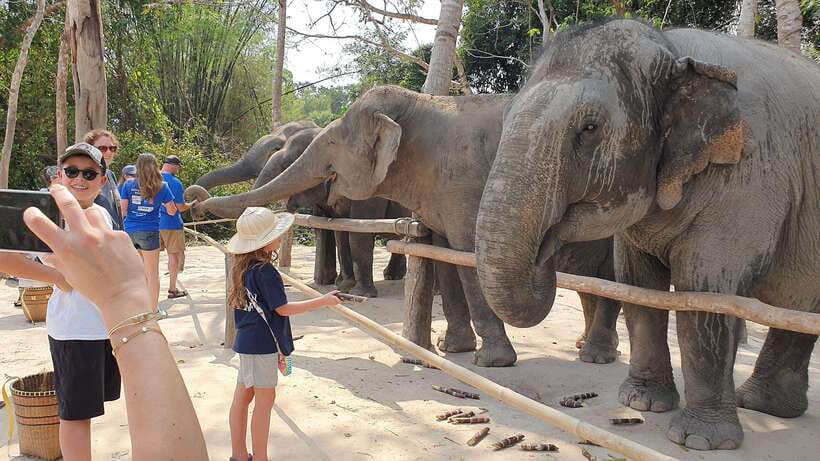 Kulen Elephant Forest & Tonlesap Lake - Key points to know before you book