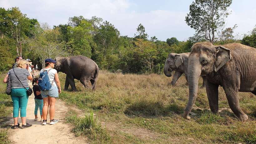 Kulen Elephant Forest & Tonlesap Lake - Guides make the long drive worthwhile