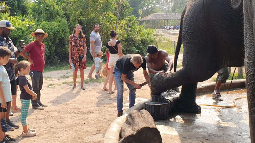 Kulen Elephant Forest & Tonlesap Lake - Kompong Phluk shows life above the water