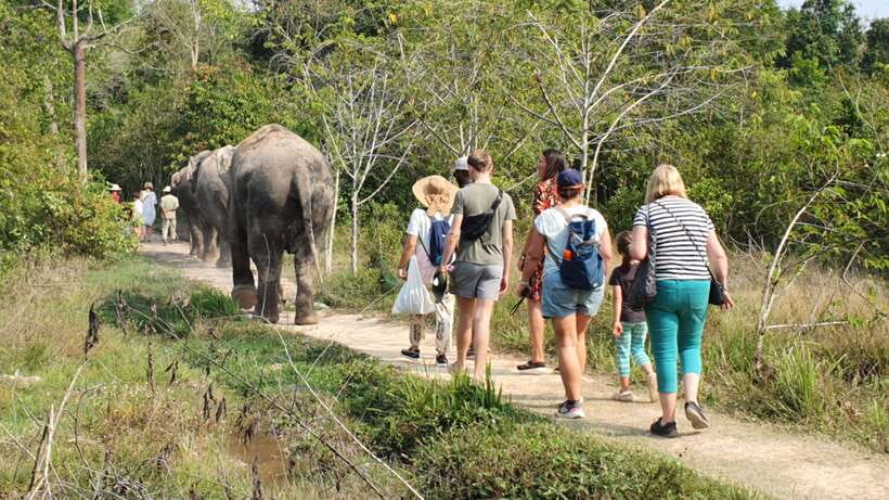 Kulen Elephant Forest & Tonlesap Lake - What the $126 price really covers