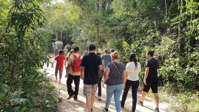 Kulen Elephant Forest & Tonlesap Lake - Who will enjoy this most