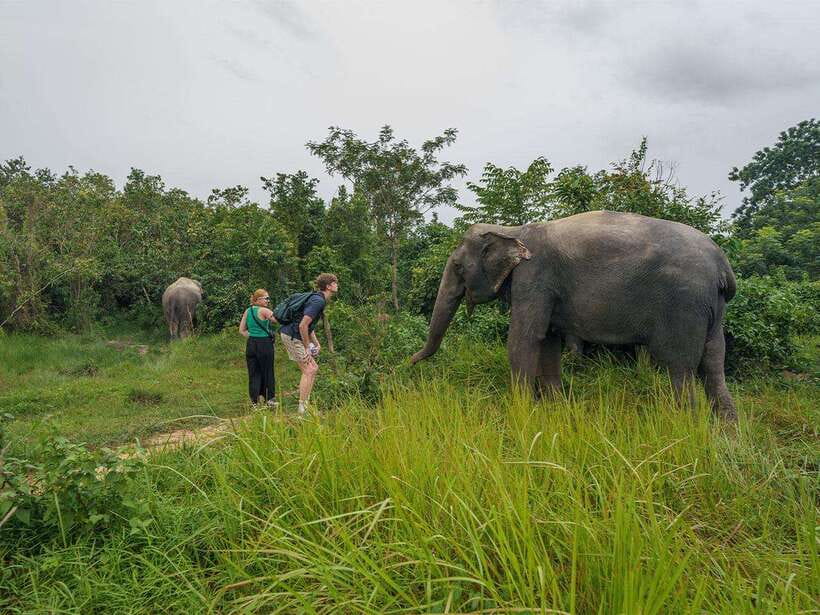 Kulen Elephant Forest Tour with Hotel Pick-up & Drop off - Water, bathing, and the most joyful part of the visit
