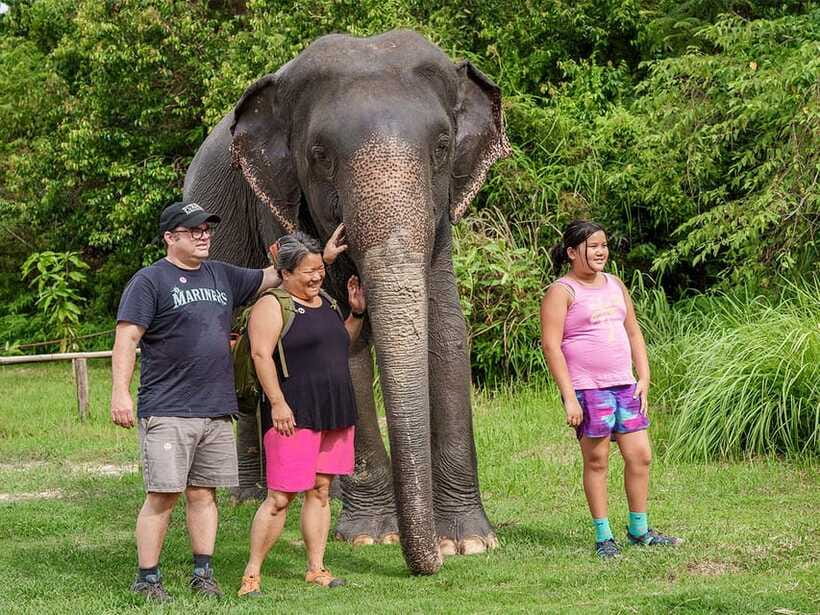 Kulen Elephant Forest Tour with Hotel Pick-up & Drop off - Is $139 a fair price?