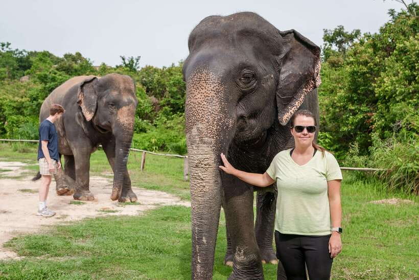 Kulen Elephant Forest Tour with Hotel Pick-up & Drop off - Preparing food before you meet the elephants