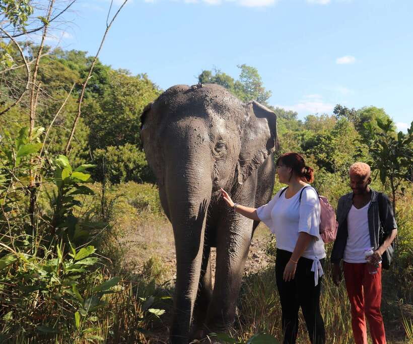 Kulen Mountain Day Trip with Picnic & Kulen Elephant Forest - Why Phnom Kulen makes a fine change from Angkor