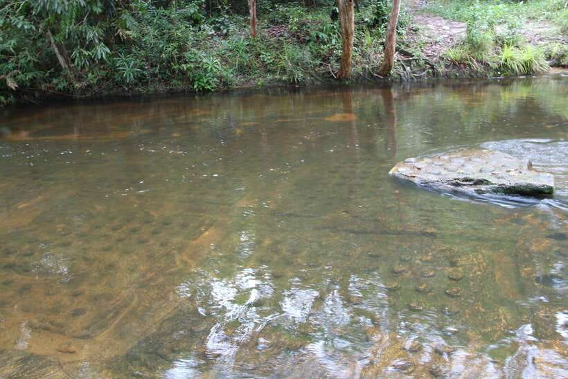 Kulen Mountain: Full-Day Private Waterfall Tour - Who will enjoy this six-hour outing