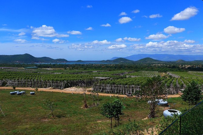 La Plantation tour (discovering Kampot Pepper) + Lunch - Why Kampot pepper makes this farm visit worthwhile