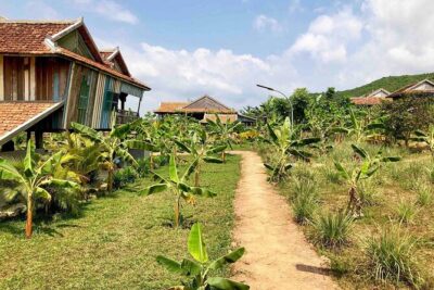 La Plantation tour (discovering Kampot Pepper) + Lunch