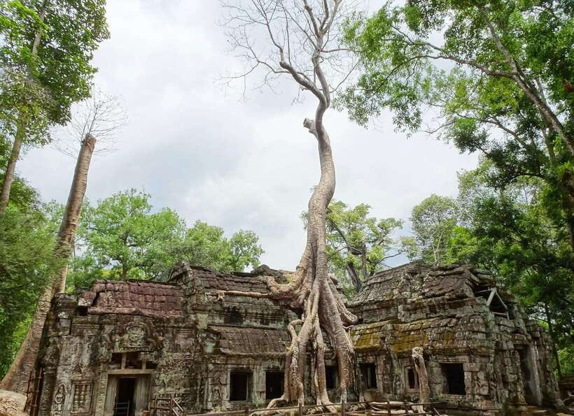 Luxury Private 2-Day Angkor Wat with English or German Guide - Who should book this Angkor experience?