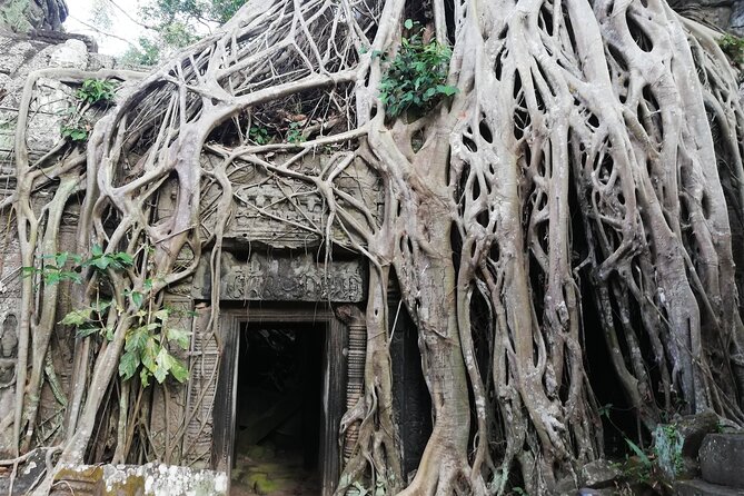 One Day Angkor World Heritage Tour - The guide and driver shape the day