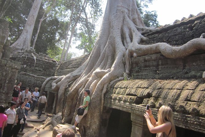 One Day Angkor World Heritage Tour - Heat, comfort, and the practical side of the day