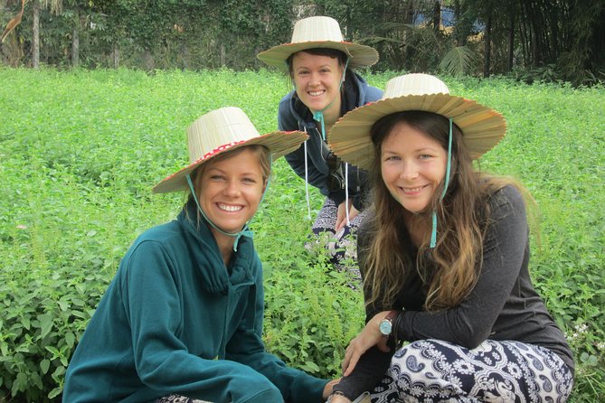 Ox-cart Culture Tour, Countryside Experince in Siem Reap - Seasonal fruit with a host family