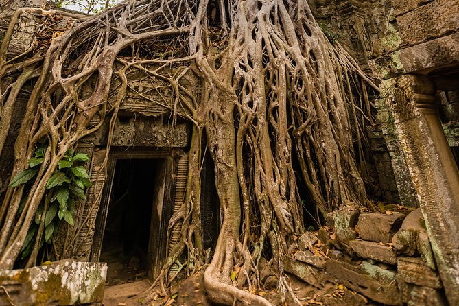 Personalised Angkor Wat Day Tour by an Air-conditioned Car - Starting with two hours at Angkor Wat