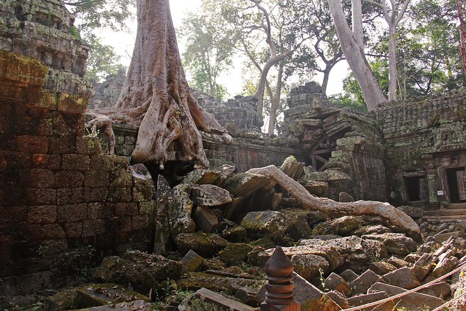 Personalised Angkor Wat Day Tour by an Air-conditioned Car - Price, inclusions, and real value