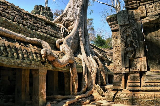 Personalised Angkor Wat Sunrise Off-the-Beaten Track Tour - A private tour with room for questions