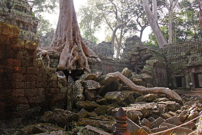 Personalised Angkor Wat Sunrise Off-the-Beaten Track Tour - Angkor Thom and the South Gate
