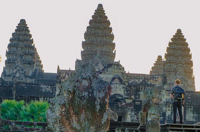Personalised Angkor Wat Sunrise Tour by TukTuk - Ta Prohm and the temple in the trees