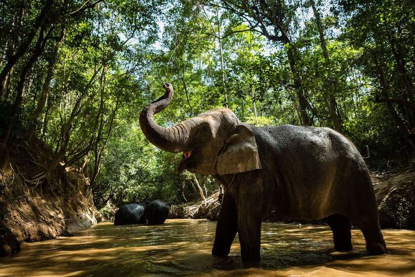 Phnom Kulen Park: Tour with Elephant Forest from Siem Reap - The 7:30 AM drive through rural Cambodia