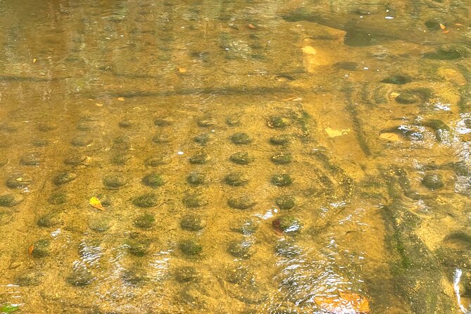 Phnom Kulen Waterfall and Banteay Srei Temple Tour from Siem Reap - Reading the River of a Thousand Lingas