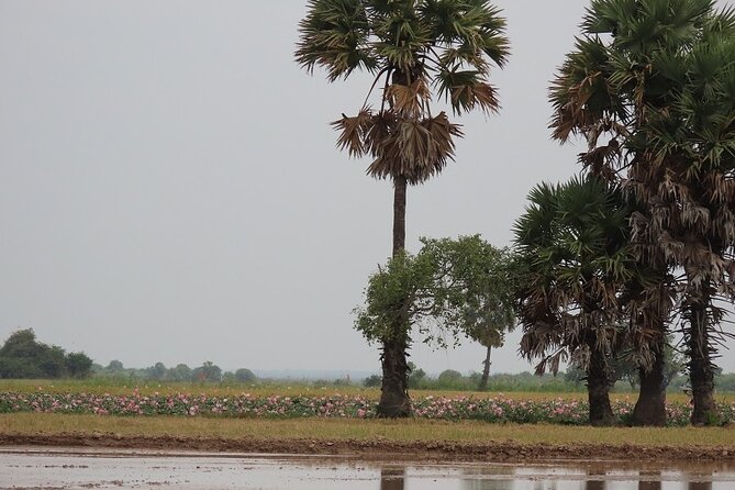 Phnom Penh Countryside Cycle Tour - Meeting Cambodian craft workers