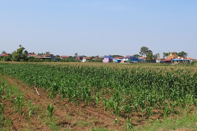 Phnom Penh Countryside Cycle Tour - What the $45 price really covers