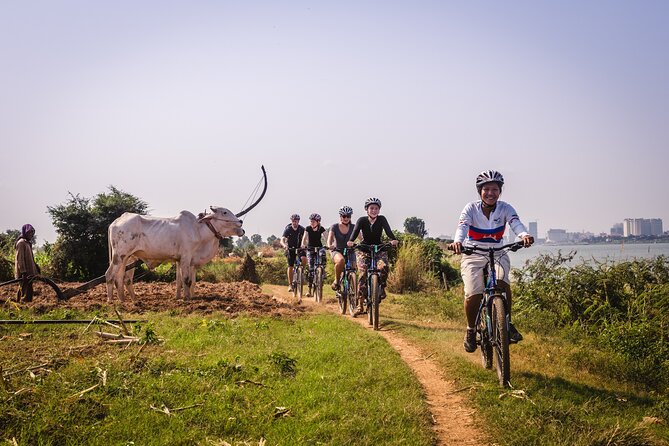 Phnom Penh: Cycling Adventure on Islands of the Mekong - Returning to Phnom Penh by around 12:30pm