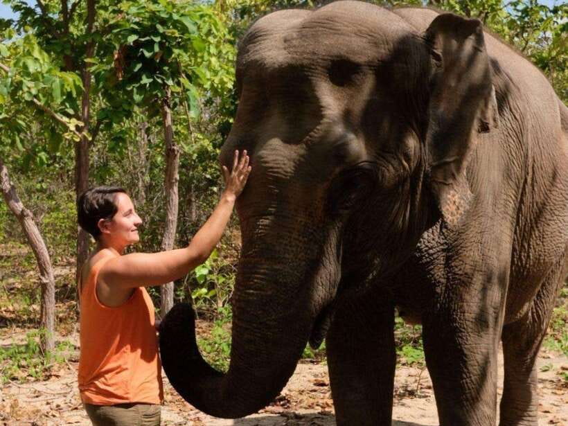 Phnom Tamao Wildlife Center & Buddha Kiri Cambodia Day Tour - Key points before you book