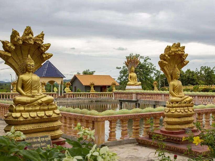 Phnom Tamao Wildlife Center & Buddha Kiri Cambodia Day Tour - Who should book this experience