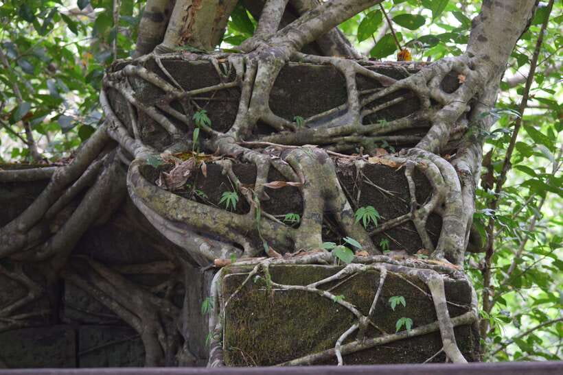 Prasat Thom, Koh Ker Group & Beng Mealea Full-Day Tour - What $109 includes, and what it does not