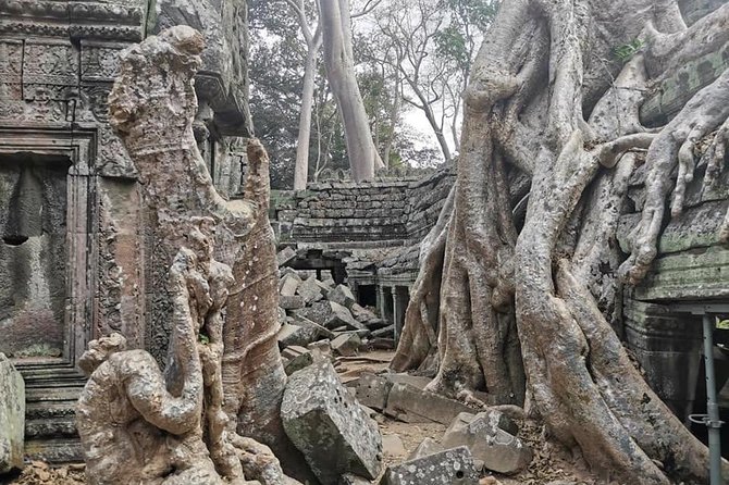 Preah Khan, Ta Prohm, Bayon Off Beaten Track - Why this three-temple route works