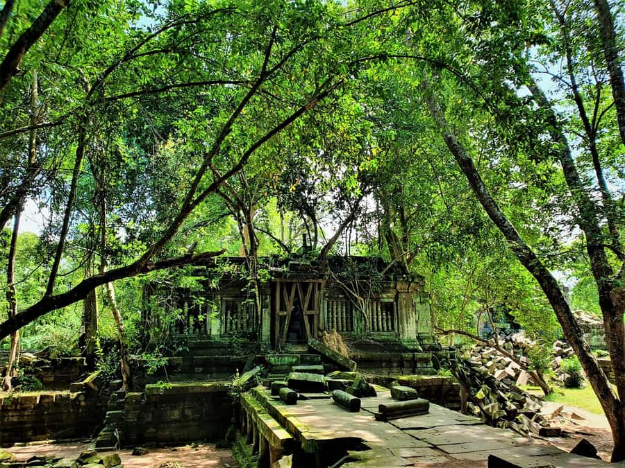 Preah Vihear Temple Koh Ker & BengMealea Tour from Siem Reap - Who should book this temple route?