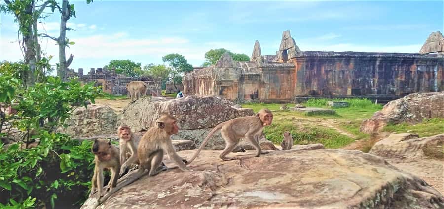 Preah Vihear Temple Koh Ker & BengMealea Tour from Siem Reap - What the $41 price really covers